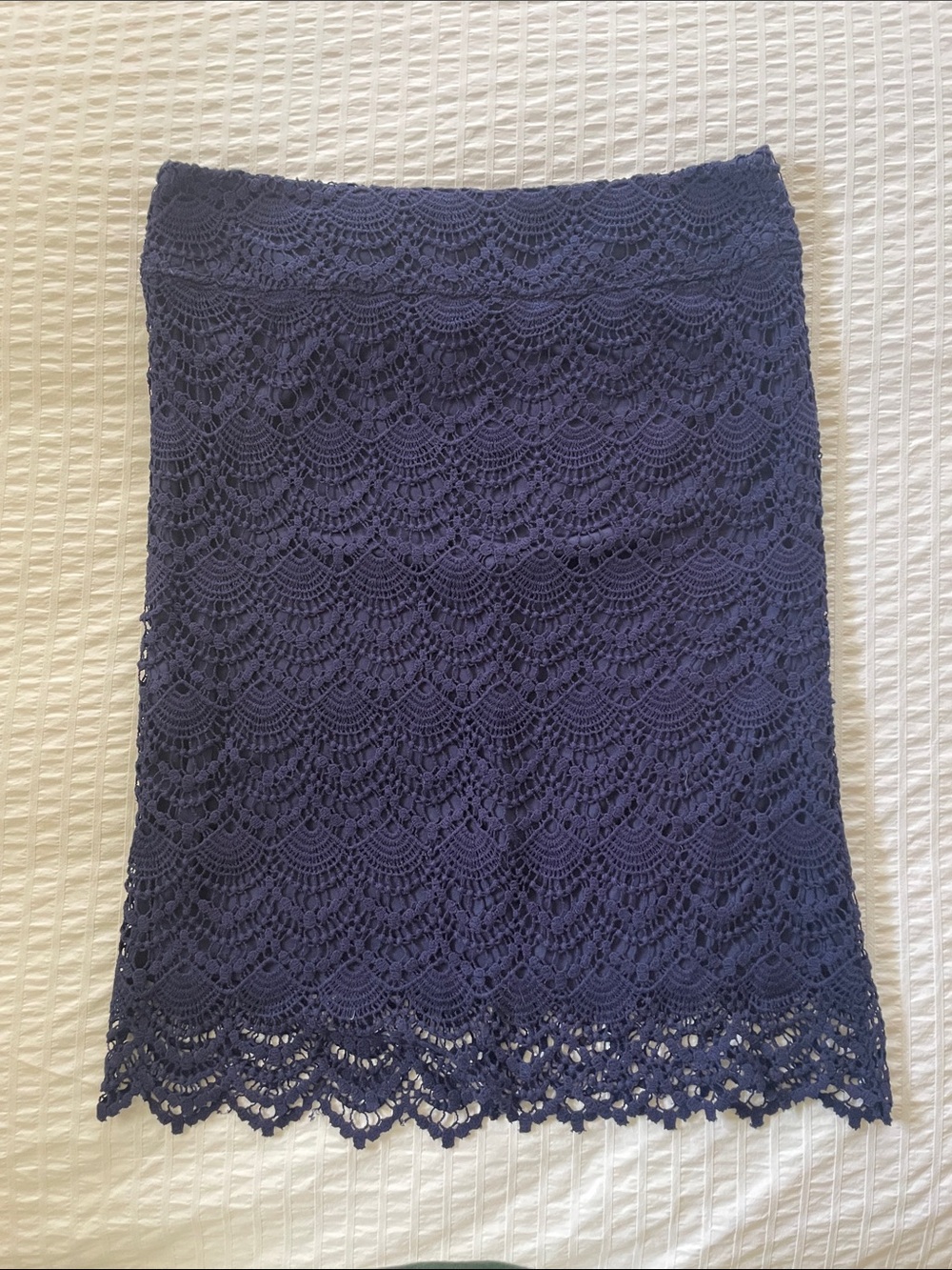DownEast Navy Lace Pencil Skirt